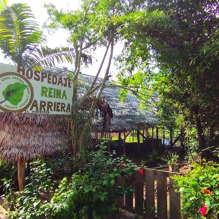 Hospedaje Y Tours Reina Arriera Amazonas Colombia Macedonia Esterno foto