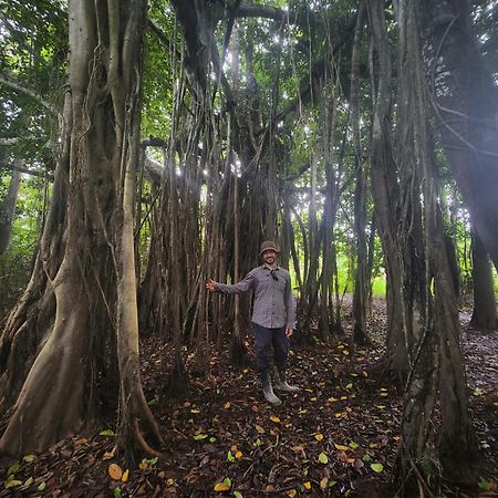 Hospedaje Y Tours Reina Arriera Amazonas Colombia Macedonia Esterno foto