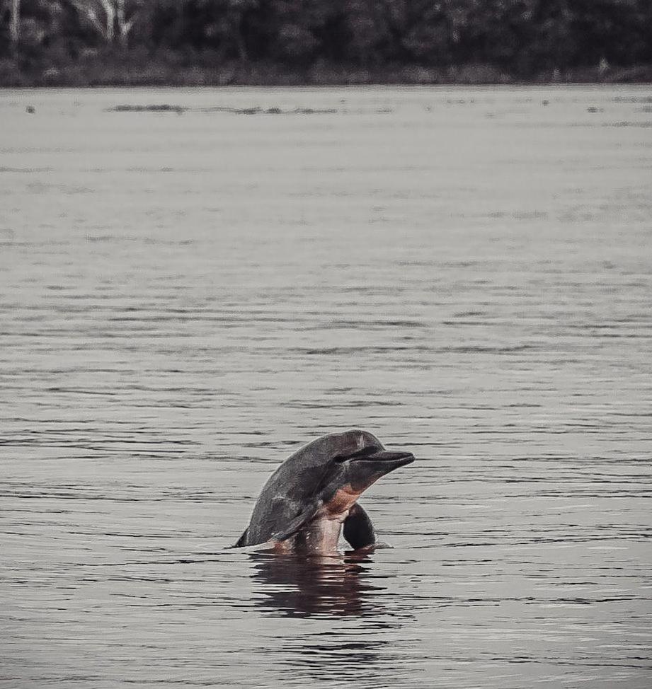 Hospedaje Y Tours Reina Arriera Amazonas Colombia Macedonia Esterno foto