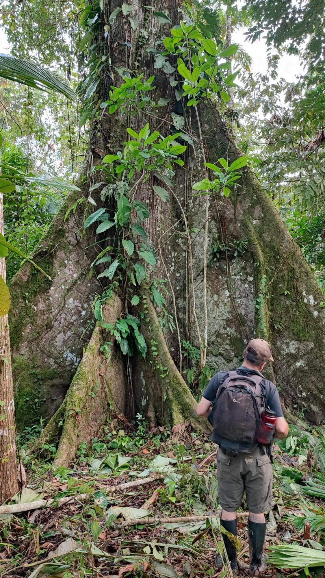 Hospedaje Y Tours Reina Arriera Amazonas Colombia Macedonia Esterno foto