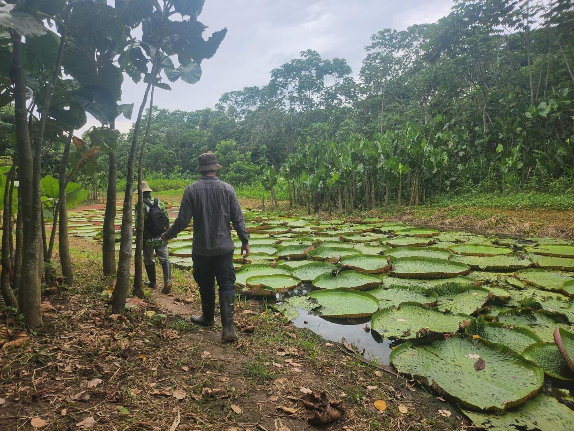 Hospedaje Y Tours Reina Arriera Amazonas Colombia Macedonia Esterno foto