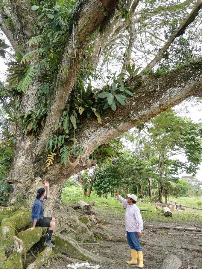 Hospedaje Y Tours Reina Arriera Amazonas Colombia Macedonia Esterno foto